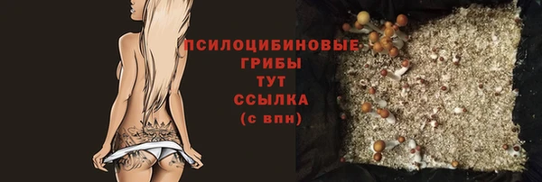 герыч Абаза